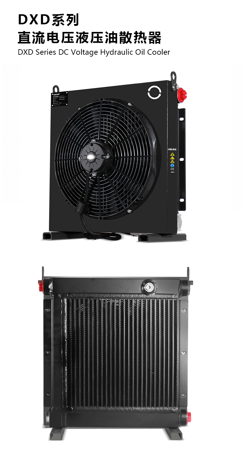 1770108823845800.jpg DXD.jpg