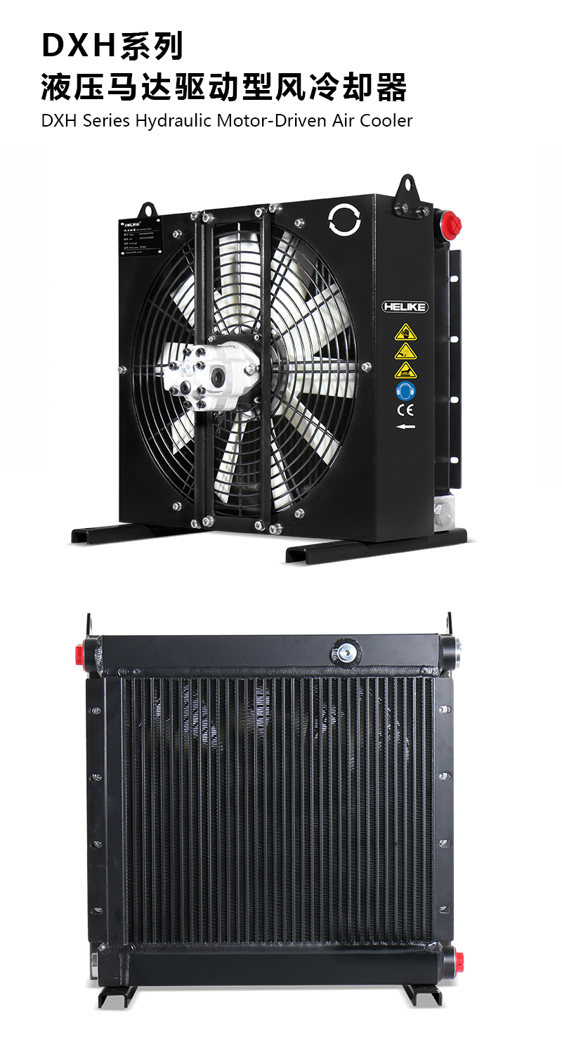 1770109353664702.jpg DXH.jpg