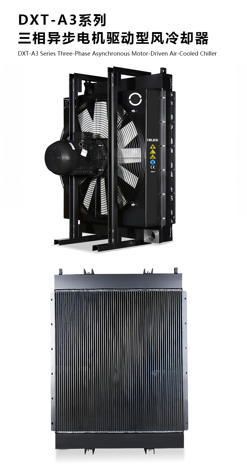 1770109780510397.jpg DXTpsd.jpg